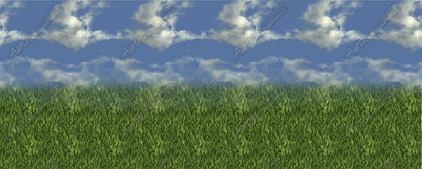 Grass and Blue Sky Vehicle Wrap Design — Large Scale Artwork for Wide Format Printing | Categories: Nature
