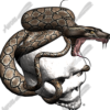 Snake Strike 3 Vehicle Wrap Design — Large Scale Artwork for Wide Format Printing | Categories: PIK6 Everyday, Skulls