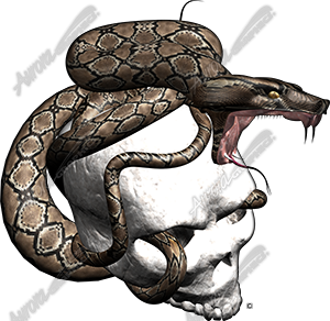 Snake Strike 3 Vehicle Wrap Design — Large Scale Artwork for Wide Format Printing | Categories: PIK6 Everyday, Skulls