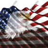 Waving American Flag Eagle Head Cloth