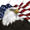 Waving American Flag Eagle Head 2