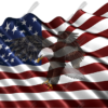 Waving American Flag Flying Eagle 2
