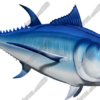 Bluefin Tuna