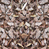 Hair 1 Vehicle Wrap Design — Large Scale Artwork for Wide Format Printing | Categories: Nature