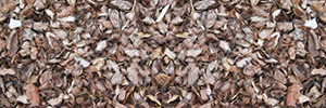 Hair 1 Vehicle Wrap Design — Large Scale Artwork for Wide Format Printing | Categories: Nature