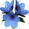 Flowers 1 Vehicle Wrap Design — Large Scale Artwork for Wide Format Printing | Categories: PIK6 Everyday, Nature
