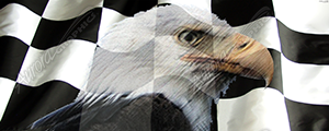 Racing Checked Flag Eagle Vehicle Wrap Design — Large Scale Artwork for Wide Format Printing | Categories: Race Inspired, Flags