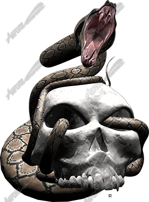 Snake Strike 2 Vehicle Wrap Design — Large Scale Artwork for Wide Format Printing | Categories: PIK6 Everyday, Skulls