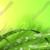 Water Droplets on Grass Vehicle Wrap Design — Large Scale Artwork for Wide Format Printing | Categories: PIK6 Everyday, Commercial, Nature