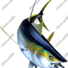 Yellowfin Tuna