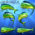 Mahi Mahi Bundle Vehicle Wrap Design — Large Scale Artwork for Wide Format Printing | Categories: Bundle Collections, Fishing, Nature