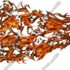Natural Flame 8 design element is the largest, high resolution images available! Industry leading digital imaging from Aurora Graphics offers more than beauty and functionality these images are created in a very large format with perfection in mind. Fire, Flames, Firefighter. High Resolution Design Graphics Image