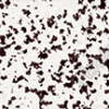 Dalmatian Hide 1