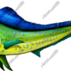 Mahi Mahi