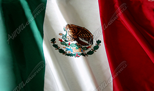 Mexican Flag Waving Vehicle Wrap Design — Large Scale Artwork for Wide Format Printing | Categories: Flags