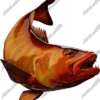 Cubera Snapper
