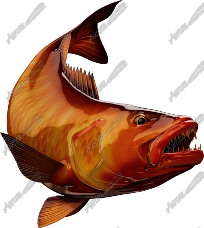 Cubera Snapper