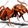 Red Ant 4 Vehicle Wrap Design — Large Scale Artwork for Wide Format Printing | Categories: Commercial, Industry, Nature