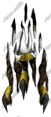Eagle Rip (Front) Vehicle Wrap Design — Large Scale Artwork for Wide Format Printing | Categories: PIK6 Everyday, Rips & Tears, Nature