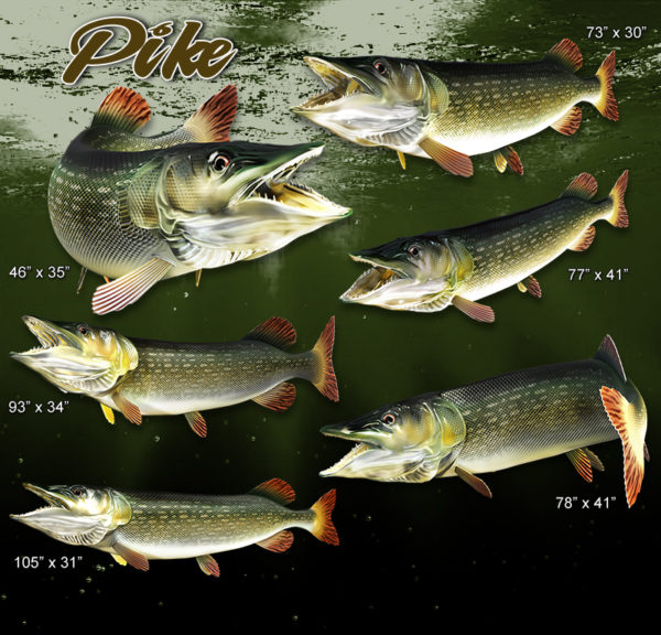 Pike Fish High