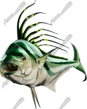 Roosterfish