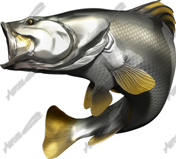 Barramundi