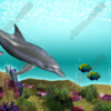 Underwater Scene