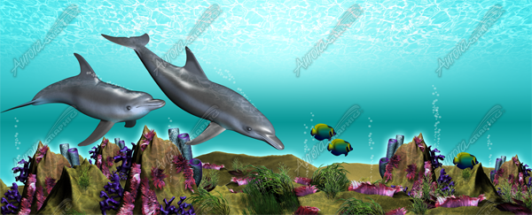 Underwater Scene
