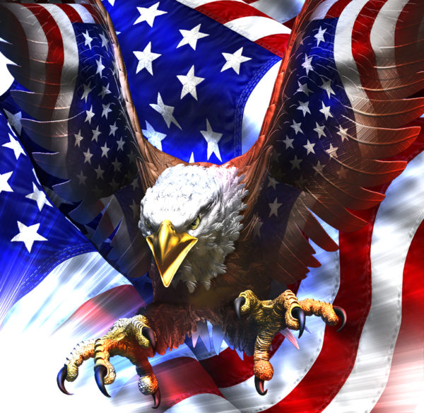 American Eagle Flight Angled Vehicle Wrap Design — Large Scale Artwork for Wide Format Printing | Categories: Patriotic, PIK6 Everyday