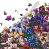 Pile of Flowers Vehicle Wrap Design — Large Scale Artwork for Wide Format Printing | Categories: PIK6 Everyday, Nature