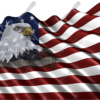 Waving American Flag Eagle Head Small 3