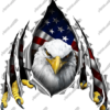 American Eagle Rip