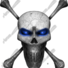 Skull With Crossbones 1 Vehicle Wrap Design — Large Scale Artwork for Wide Format Printing | Categories: Skulls