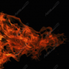 Bonus Side Flame 5 in Digital Fire Storm Flames are beautiful flame images for use in your wrap or partial wrap design work. Some Digital Fire Storm images are available in transparent tiff, while others are flattened. This particular Digital Fire Storm image has a black background by default and is not available in transparent tiff format. Flames, Fire, Inferno, Fireman, Fire Department, Burning, Hot. High Resolution Design Graphics Image.
