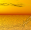 Sun Down 1 Vehicle Wrap Design — Large Scale Artwork for Wide Format Printing | Categories: Nature