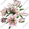 Lilies Vehicle Wrap Design — Large Scale Artwork for Wide Format Printing | Categories: PIK6 Everyday, Nature