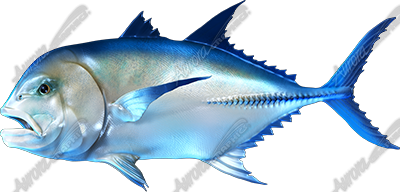 Giant Trevally