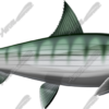 Bonefish