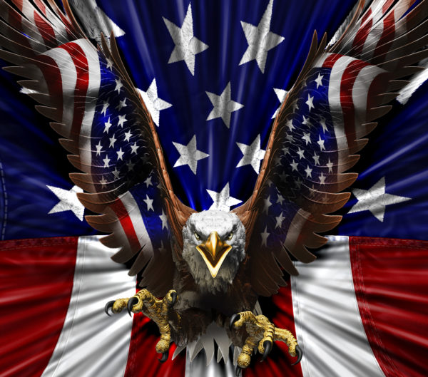 American Eagle Flight Straight Vehicle Wrap Design — Large Scale Artwork for Wide Format Printing | Categories: Patriotic, PIK6 Everyday