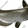 Catfish