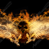 Burning Phoenix 1 Vehicle Wrap Design — Large Scale Artwork for Wide Format Printing | Categories: PIK6 Everyday, Flames