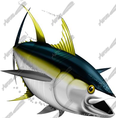 Yellowfin Tuna