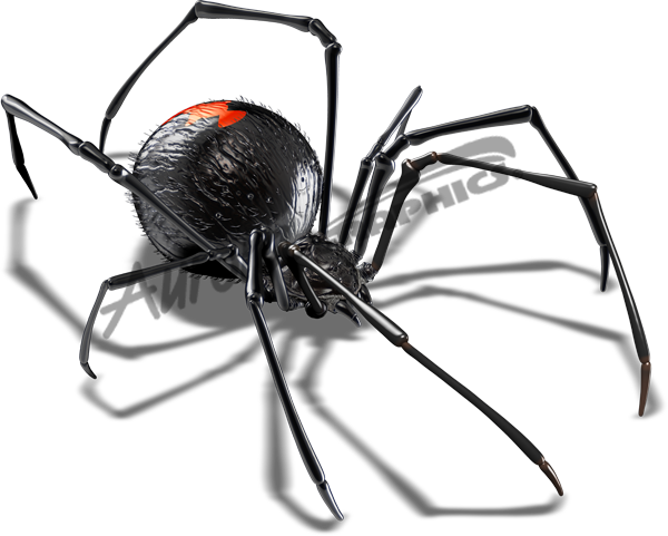 Black Widow 1 Vehicle Wrap Design — Large Scale Artwork for Wide Format Printing | Categories: Commercial, Industry, Nature