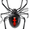 Black Widow 2 Vehicle Wrap Design — Large Scale Artwork for Wide Format Printing | Categories: PIK6 Everyday, Commercial, Industry, Nature