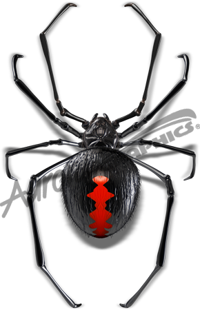 Black Widow 2 Vehicle Wrap Design — Large Scale Artwork for Wide Format Printing | Categories: PIK6 Everyday, Commercial, Industry, Nature