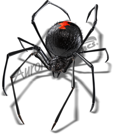 Black Widow 3 Vehicle Wrap Design — Large Scale Artwork for Wide Format Printing | Categories: PIK6 Everyday, Commercial, Industry, Nature