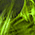 City Streets is a sweeping, brushstroke-like forms weave through the composition, mimicking the flow of traffic, the bustle of pedestrians, and the vibrancy of cityscapes. Interspersed among these strokes are hints of musical instruments and notes, abstractly rendered to suggest the soundtrack of urban life. The imagery hints at a galactic theme, as if the streets and melodies are extending into an infinite, starry expanse. Fractal, brush stroke, wispy, explosion, fire, flames, black and white, color fade. High Resolution Design Graphics Image.