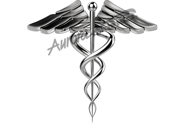 High Resolution EMS Emergency Medical Services Badge, Badging and images that are fully customizable. Cut File Print/Cut Print Cut Large Huge Design Elements CutContour Cut Contour Graphics