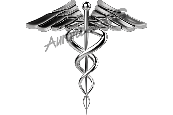 High Resolution EMS Emergency Medical Services Badge, Badging and images that are fully customizable. Cut File Print/Cut Print Cut Large Huge Design Elements CutContour Cut Contour Graphics