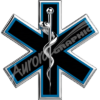 High Resolution EMS Emergency Medical Services Badge, Badging and images that are fully customizable. Cut File Print/Cut Print Cut Large Huge Design Elements CutContour Cut Contour Graphics